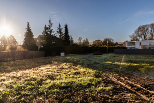 Steinbrunn le Bas_©Serge NIED_-597