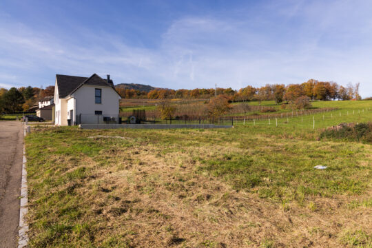 Wuenheim_©Serge NIED_-508