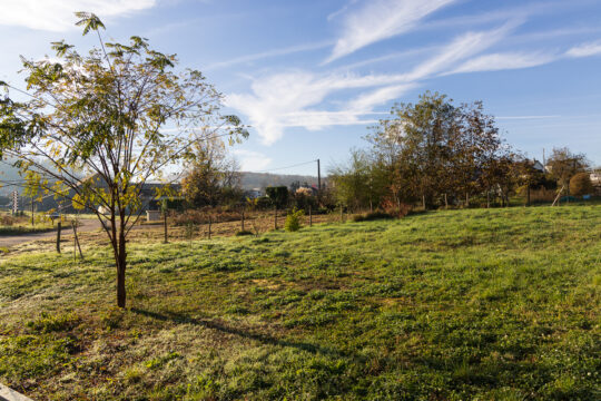 Zillisheim_©Serge NIED_-510