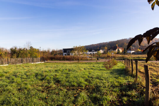 Zillisheim_©Serge NIED_-526