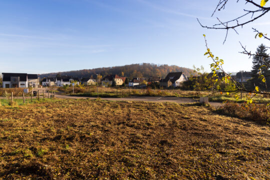 Zillisheim_©Serge NIED_-532