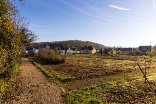 Zillisheim_©Serge NIED_-558