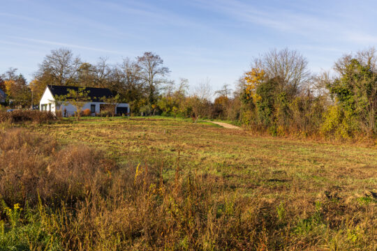 Zillisheim_©Serge NIED_-579