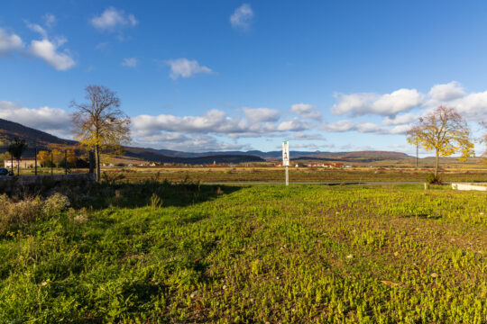 Issenheim_©Serge NIED_-343