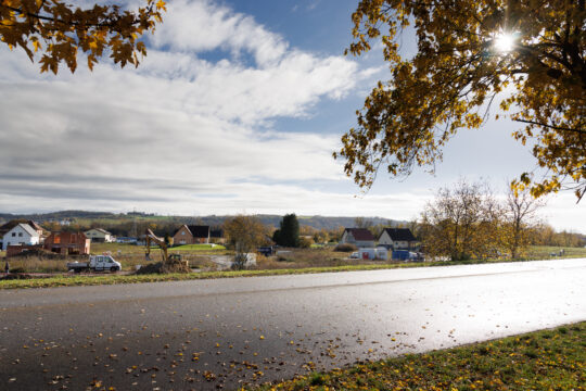 Niffer_©Serge NIED_-329