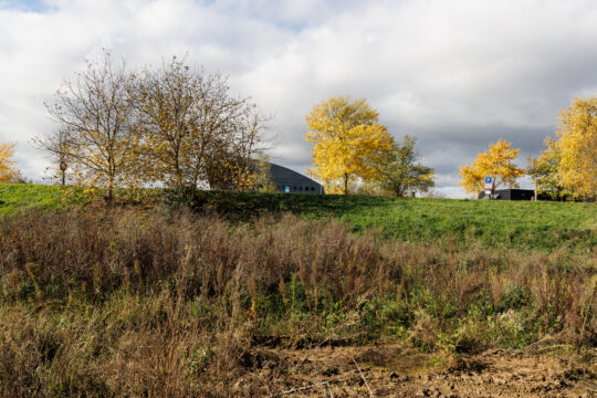 Niffer_©Serge NIED_-388