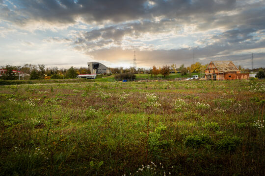 Niffer_©Serge NIED_-431-Modifier