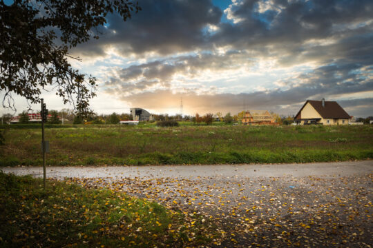 Niffer_©Serge NIED_-449-Modifier