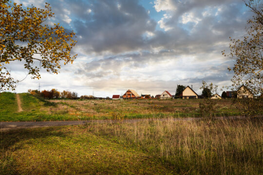 Niffer_©Serge NIED_-461-Modifier