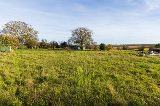 Osthoffen_©Serge NIED_-510