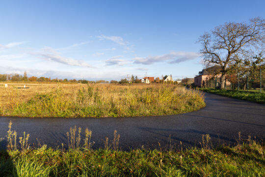 Battenheim_©Serge NIED_-351