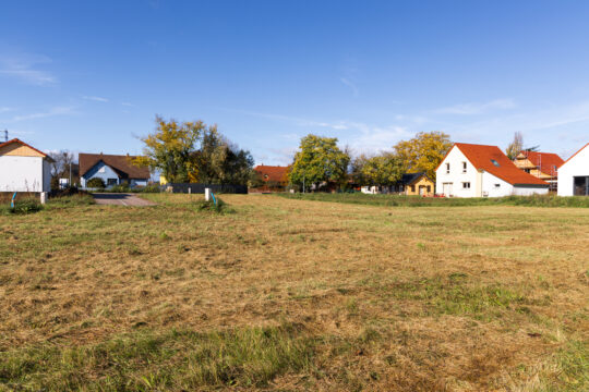 Blodelsheim_©Serge NIED_-337