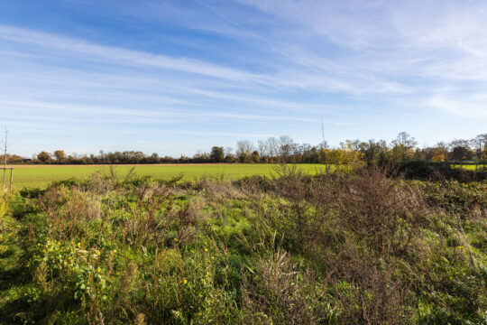 Bollwiller_©Serge NIED_-534