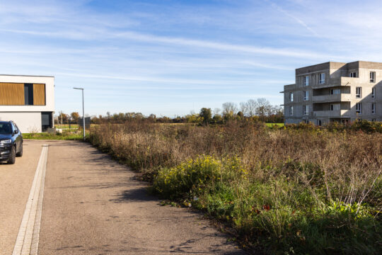 Bollwiller_©Serge NIED_-574