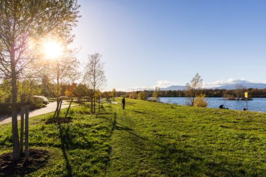 Ensisheim_©Serge NIED_-312-Modifier