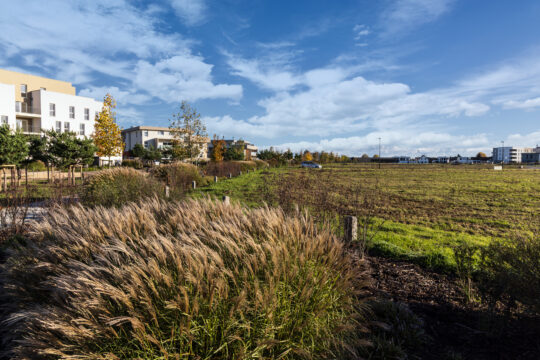 Ensisheim_©Serge NIED_-321-Modifier