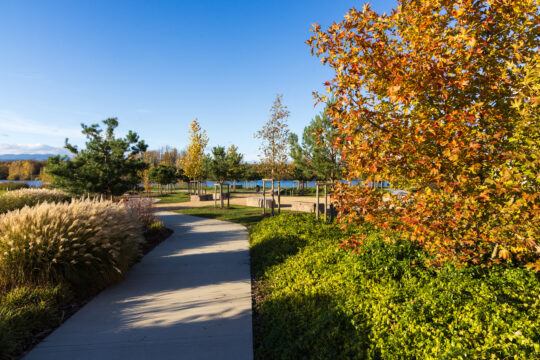 Ensisheim_©Serge NIED_-336