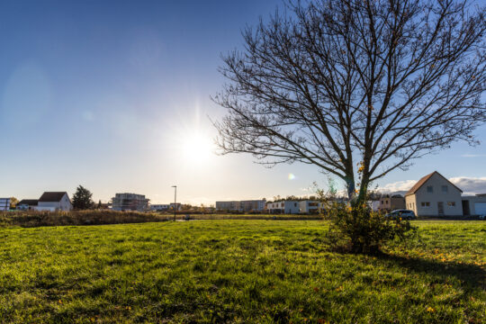 Ensisheim_©Serge NIED_-379