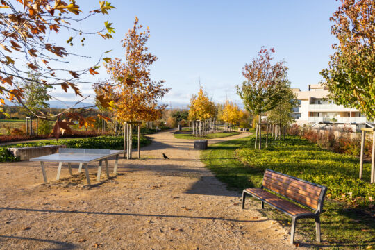 Ensisheim_©Serge NIED_-394