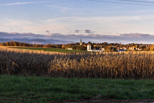 Galfingue_©Serge NIED_-300