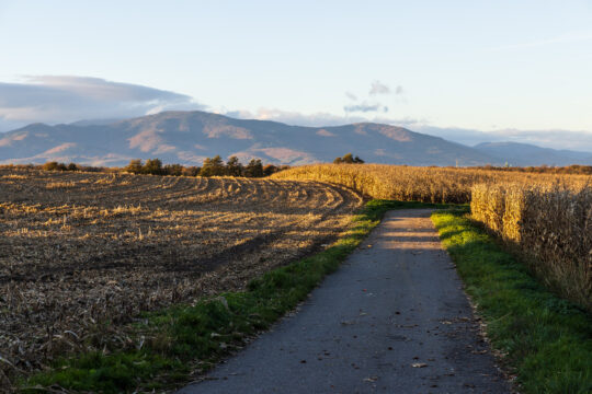 Galfingue_©Serge NIED_-305