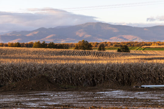 Galfingue_©Serge NIED_-329