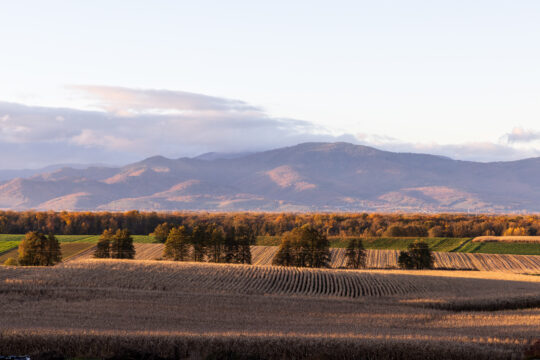 Galfingue_©Serge NIED_-352