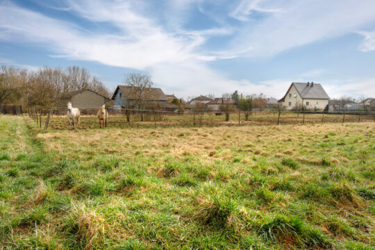 Niederhergheim_©Serge Nied_--19