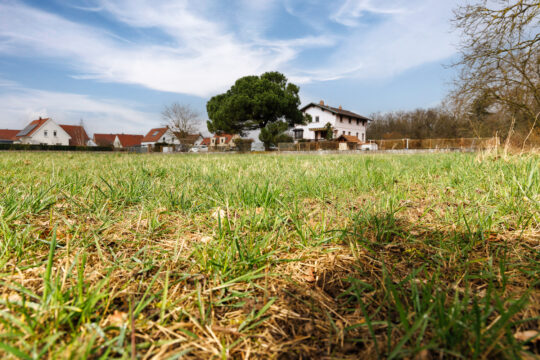 Niederhergheim_©Serge Nied_--20