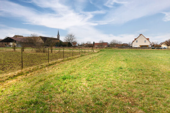 Niederhergheim_©Serge Nied_--23