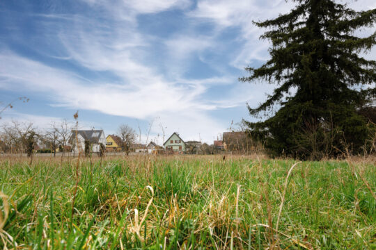 Grussenheim_©Serge Nied_--23