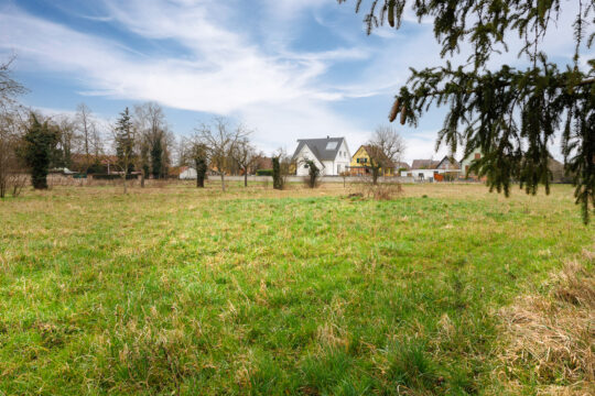 Grussenheim_©Serge Nied_--24