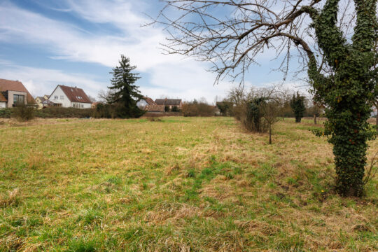 Grussenheim_©Serge Nied_--33