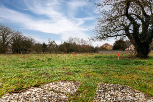 Grussenheim_©Serge Nied_--35