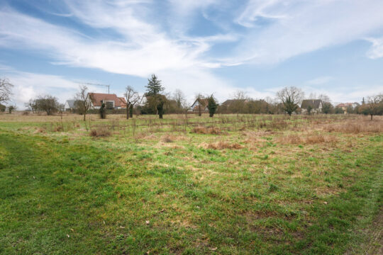 Grussenheim_©Serge Nied_--42